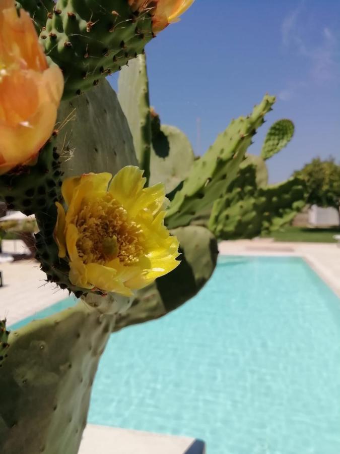 ウッジャーノ・ラ・キエーザ Il Giardino Del Tiglio Bed & Breakfast エクステリア 写真