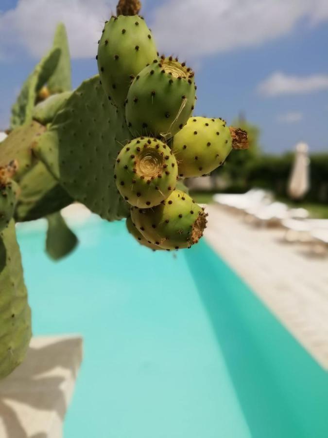 ウッジャーノ・ラ・キエーザ Il Giardino Del Tiglio Bed & Breakfast エクステリア 写真
